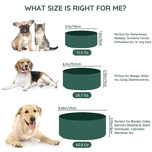 SPUNKYJUNKY 13.5OZ Ceramic Dog and Cat Bowl, Modern Cute Weighted Food Water Bowl for Replacement Green (1 Pack) - color: Green, size: 1.7 CUPS