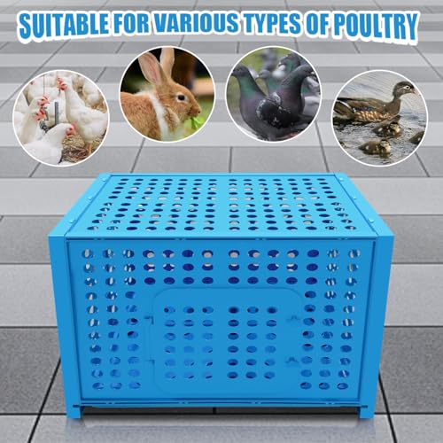 La La Pet Poultry Carrier Crate with 2 Side Doors Portable Seafood Breeding Box Detachable and Stackable Case Multifunctional Cage for Rabbits Guinea Pigs Chinchillas and Small Animals