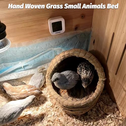 kathson Guinea Pig Grass House Guinea Pig Hideout Bunny Woven Hay Bed Hand Woven Natural Grass House for Hamster Bunny and Small Animals with Hay Chew Balls Toys(Small) - size: 7.87×6.29×5.11in,Small