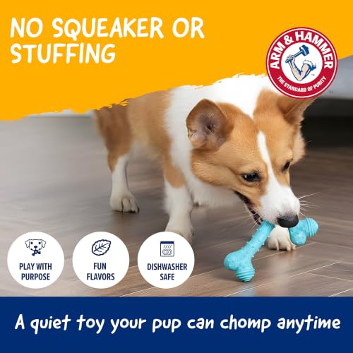Arm & Hammer Nubbies T-Bone Dental Dog Chew Toy, Peanut Butter, 24-Pk | Durable nylon and TPR nubs clean teeth and gums, built for aggressive chewers - color: Blue T-Bone, size: 24 Count
