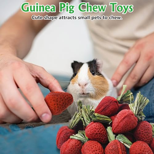 Fhiny Rabbit Chew Toys, 24 PCS Natural Hamster Molar Snacks Handmade Small Animal Chew Toys for Teeth Timothy Hay Treats Habitat Decor for Bunny Guinea Pig Chinchilla Hamster Gerbil Dental Care - size: 24 PCS