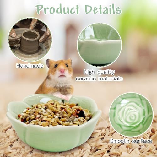 BNOSDM 2 Pcs Hamster Ceramic Food Bowl Flower Series Gerbil Drinking Bowls Anti-Turning Food & Water Dish for Dwarf Syrian Hamsters Gerbil Chinchilla（Green, Rose Pattern） - color: Green