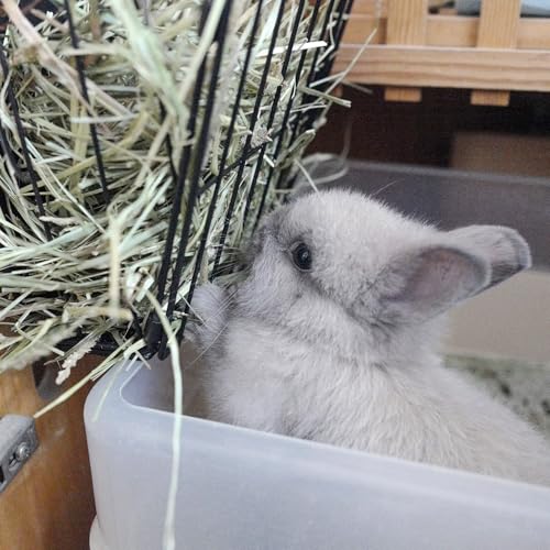 Black Metal Rabbit Foldable Hay Feeder | Hay Rack Holder, Rabbit Accessories & Supplies, For Small Animals