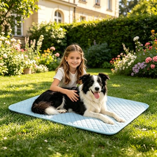 SOMOYA Dog Cooling Mats,Foldable Non-Slip Arc-Chill Cool Pad | Cooling Pad for Dogs Q-Max 0.45 Absorbs Pet Heat Fast,Suit for Indoor Outdoor Summer Use for Cats Dogs - color: Blue, size: Medium (29.5x18.8 IN)