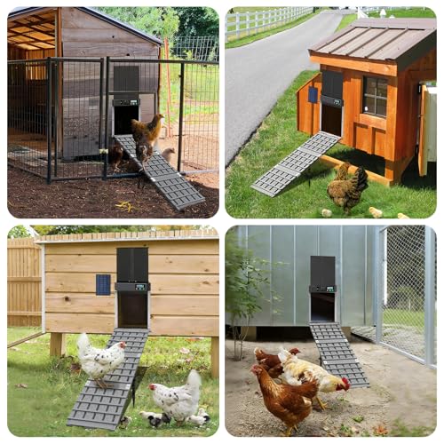 NIUXX Chicken Coop Ramp: Length Adjustable Waterproof & Non-Slip Ladder | Easy to Clean - Suitable for Poultry with Limited Mobility or Flightless Chickens