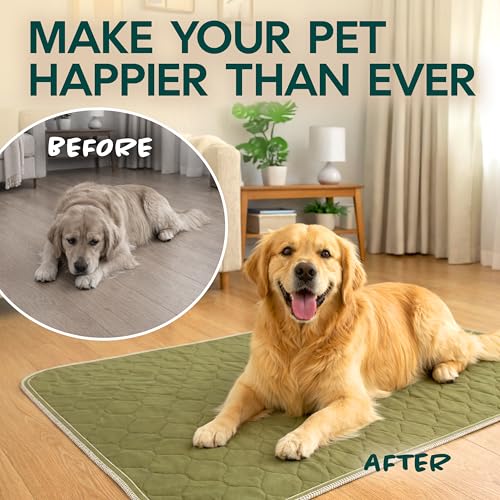 Washable Pee Pads for Dogs 23x35 – Reusable Puppy Pads for Pee Potty Training & Indoor Dog Potty – Nonslip & Large Waterproof Pet Mat, Whelping Pad - color: 1 Pee Pad