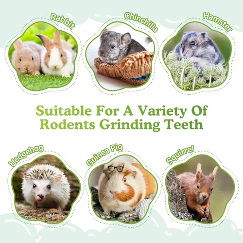 PINVNBY 12 PCS Rabbit Chew Toys Natural Grape Wood Bunny Chew Sticks for Teeth Grinding Guinea Pig Molar Treats Snack for Chinchilla Hamster Gerbil and Other Small Animals
