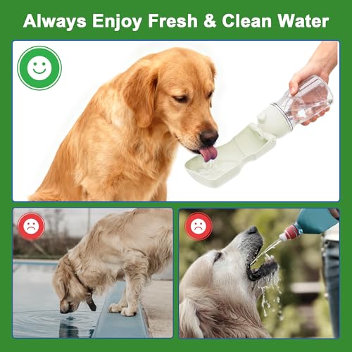 Amerisun Dog Water Bottle, 16.9 OZ Collapsible Leak-Proof Pet Water Bowl | Collapsible Water Bottle,Suitable for Dog, Cat, Puppy, Guinea Pig, Hamster & Bunny. Ideal for Walking, Hiking（A012B-White） - color: A012B-white