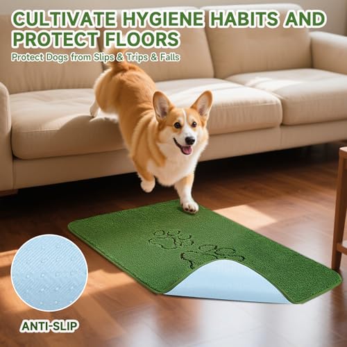 Homimp Washable Pee Pads for Dogs, 2 Pack Super Absorbent Reusable Puppy Pads,Green Long Wool Fake Grass for Potty Training, Upgrade Non-Slip and Leak-Proof,Floor,Couch,Bed and Crate,Green 45"×48" - size: 48"x48"(Pack of 2)