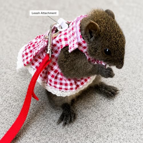 Squirrel Harness and Leash Set,Small Animal Dress Vest for Fancy Rats, Sugar Gliders and Small Pets, Adjustable Walking Outfit with 4FT Leash,Red Plaid, S,1530-1 - color: Red Plaid, size: S: 4-6" Neck, 6-7.5" Chest, Squirrel/Rat