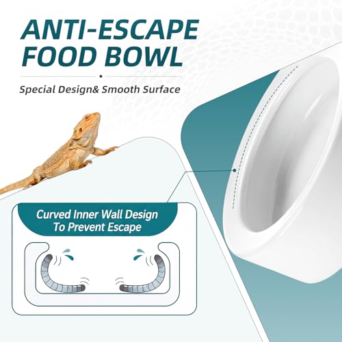 4 Pcs Reptile Bowl Food Dish Reptile Water Food Feeding Dish Ceramic Worm Pet Bowl Anti Escape Feeder for Lizard Anoles Chameleon Bearded Dragon Hermit Crab (4.92 Inch) - size: 4.92 Inch