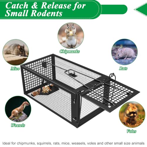 2 Packs Humane Live Mouse Rat Trap Rodent Chipmunk Traps Catch and Release | Black Iron Galvanization, Reusable Safe for Children & Pet Indoor Outdoor - color: Black