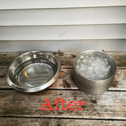 2L Double Layers 304 Stainless Steel Dog Bowl - Insulated & Durable | Non-Slip Base | Easy to Clean | BPA-Free Safe Dog Food and Water Bowl - color: 2L