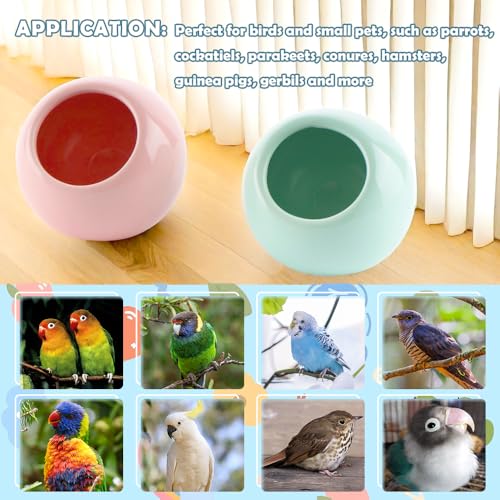2 Pack Bird Feeder Ceramic Anti-Spill Food Bowl for Bird Parrot Cockatiel Parakeet Conure Finch Hamster Guinea Pig Gerbil Small Animals (Red and Green)