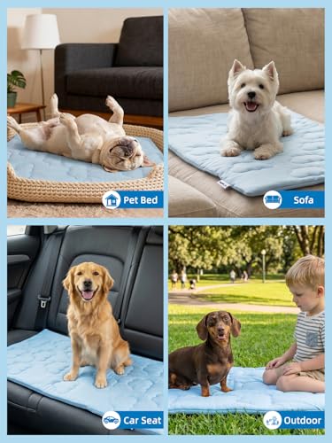 Huafly Dog Cooling Mat,Dual-Sided Cooling Mat for Dogs–Cooling Fabric for Summer,Velvet for All Seasons–Portable for Crate,Car Seat,Sofa&Floor,Machine Washable,Keeps Cats,Dogs&Puppies Cool,Cloud Blue - size: XL: 60.0" L x 40.0" W x 0.8"Th