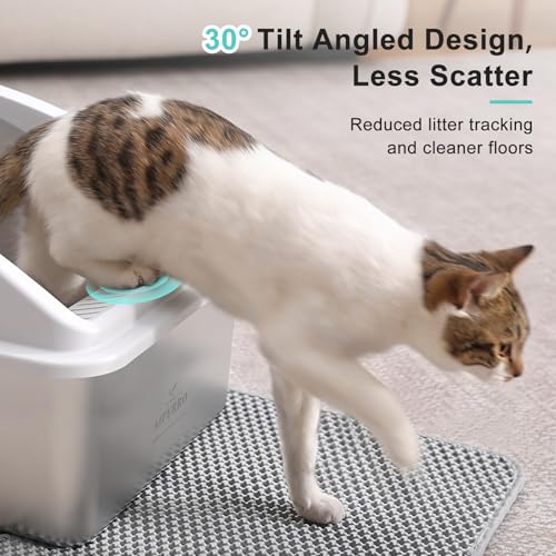 AIPERRO Stainless Steel Litter Box | XXL Deepened 8" Design Enclosed Box with Lid for Big Cats | High Sided, Anti-Urine Leakage | Non-Stick Bottom & Includes Litter Mat & Metal Scoop - color: Silver Grey, size: XX-Large