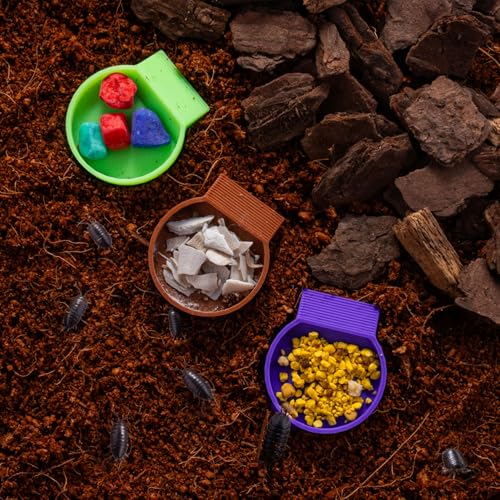 12-Pack Feeding Dish for Invertebrates – Feeder Bowls for Dubia Roaches, Isopods, Springtails, Superworms, Small Insects & More – Mini Bowls for Reptile Food & Supplements