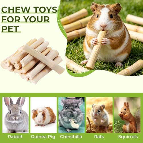 3lb Sweet Bamboo Chew Toy Natural Sweet Bamboo Animals Molar Chew Sticks Toys Pet Snacks Bamboo Sticks Treats - size: 3lb