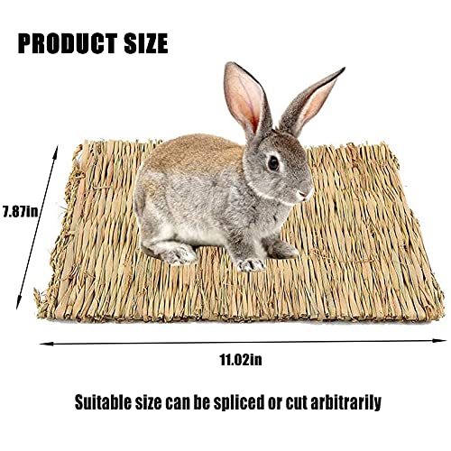 Hamiledyi 18 Pack Bunny Grass Woven Bed Mat Natural Straw Hay Mats Rabbit Handmade Bedding Sleeping Grinding Nesting and Chewing Toy for Guinea Pig Hamster Chinchilla Squirrel Hedgehog