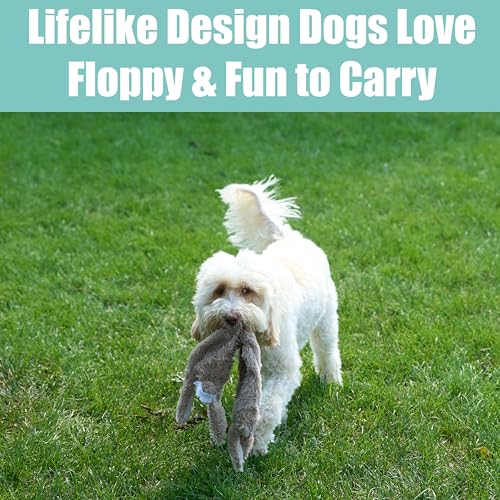SPOT Skinneeez Rabbit 22 Inch Stuffing-Free Plush Dog Toy with Dual Squeakers – Long Interactive Chew Toy for Medium and Large Dogs – Mess-Free Play for Light & Moderate Chewers - style: Rabbit