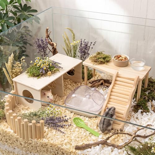Qunclay 5 Pcs Hamster Wooden Platform Chamber Hideout House Climbing Ladder Bridge Fence Toy with Hamster Bath Container Decor Cage Accessories for Small Animal Dwarf Syrian Mice Degus Gerbils - style: Chic