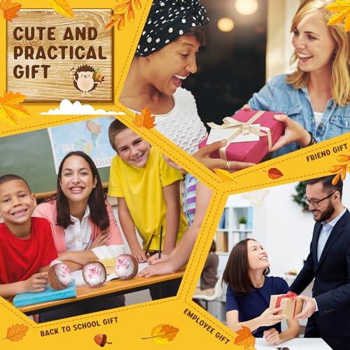 Gemscream 5 Pcs Hedgehog Stress Balls for Adults Funny Stress Reliever Squeezable Mini Hedgehog Foam Balls Funny Employee Appreciation Gifts