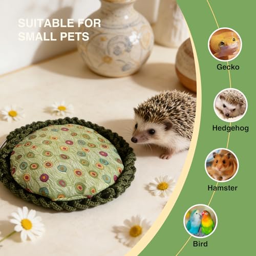 Reptile Hammock Swing Hanging Bed Bearded Dragon Hammock Reptile Accessories for Chameleon, Lizards, Gecko, Snakes, Iguana Reptiles, Geckos, Bird, Parrot, Parakeet, Cockatiel Toys（Green with pad） - color: Green with pad