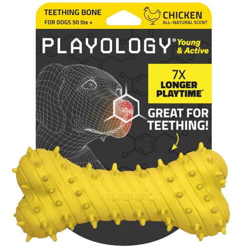 Playology Puppy Teething Bone Dog Chew Toy - Jumbo, Chicken Scent | Great For Puppies and Young Dogs, Teeting Nubs Soothe Gums, Durable Rubber, Large Breed - size: Jumbo, style: Chicken