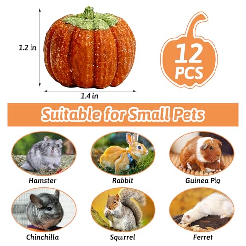 Fhiny 12 PCS Rabbit Chew Toys, Natural Pumpkin Carrot Timothy Grass Guinea Pig Chew Toys for Teeth Bunny Molar Snacks Dental Care Hamster Treats for Bunny Guinea Pig Chinchilla Hamster Gerbil - size: 12 PCS