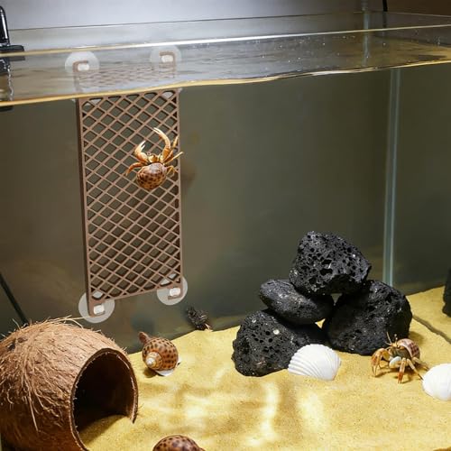 3D Printed Hermit Crab Ladder Toy - PLA Climbing Wall Accessory with 4Pcs Suction Cups for Reptile Habitat Decor, Tank, Aquarium Decoration & Small Animal Enrichment