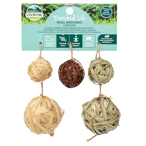 Oxbow Roll Arounds, Rabbit & Guinea Pig Toys, Bunny Enrichment Toys | Oxbow Enriched Life, Rabbit Chew Toys, Guinea Pig Enrichment, Guinea Pig Chew Toys, Rabbit Enrichment, Natural Materials