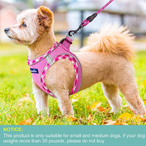 haapaw Dog Harness with Leash Set, No Pull Adjustable Reflective Step-in Puppy Harness with Thickened Padded Vest for Extra-Small/Small Medium Dogs - color: Pink, size: XS