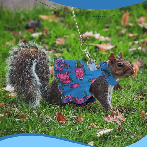 Guinea Pig Harness Skirt Clothes and Leash, Adjustable Hamster Ferret Harness and Leash Set, No Pull Walking Vest for Ferrets, Chinchillas and Similar Small Animals (Blue S) - color: Blue, size: S