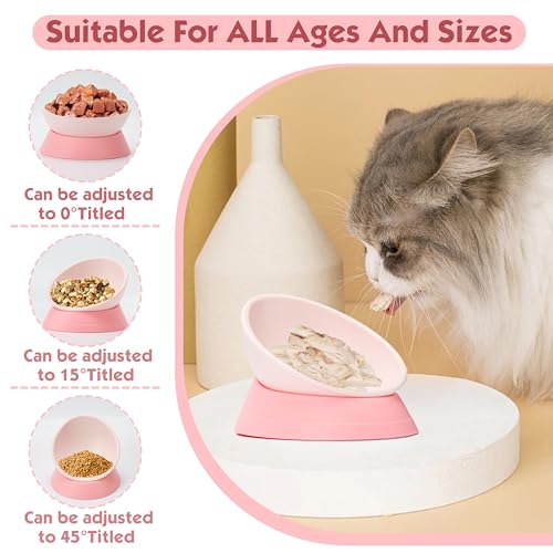 French Bulldog Food Bowl- Slanted Tilted Pug Food Water Bowl,Cat Bowl- Feeder for Frenchie/Shih Tzu/Flat Faced Small Dogs/Puppies/Cats (Pink, 2 Cup) - color: Pink, size: 2 Cup
