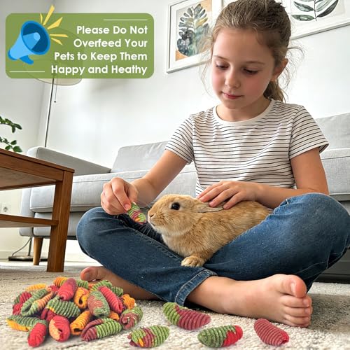 ERKOON Chinchilla Treats, Timothy Grass Chew Toys for Teeth for Rabbit Guinea Pig Gerbil Rat Dwarf Hamster (Large Size-2 Pack) - size: 7 Ounce (Pack of 2)