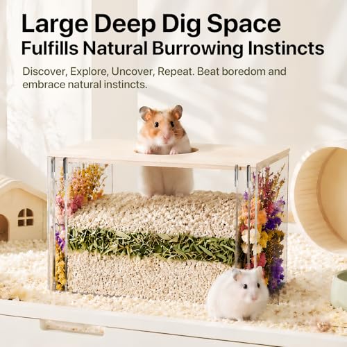 Fully Detachable Hamster Digging Box, Removable Acrylic Panels & Wooden Lid, Extra Deep Clear Panoramic Burrow, Dual-Side DIY Habitat, M Size for Syrian Hamsters, Gerbils, Degus - size: 8.7"L x 6.1"W x 6.3"H