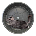 15" Chin-Sprint : All-Metal Durable, Fast Exercise Wheel - for Chinchillas, Prairie Dogs, Rats, Degus, Hedgehogs, Opossums & Other Small Pets (Black)