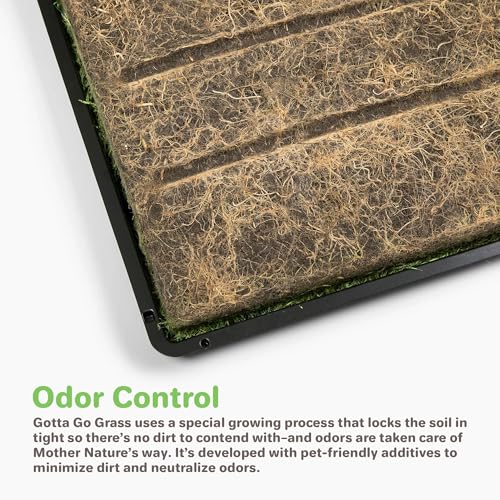 Gotta Go Grass for Small Animals – Natural Real Grass Bedding & Pet Resting Pad, Grass Potty Pad for Rabbits, Guinea Pigs, Hamsters, and Small Pets, Odor Absorbent Grass Mat (Refill 2-Pack 16" x 24") - size: Refill 2- Pack