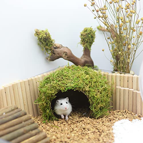 Hamster Hideout - Large, Natural Moss, Handcrafted for Syrian Hamsters, Rats & Guinea Pigs, Safe & Eco-Friendly - size: Cave, Large