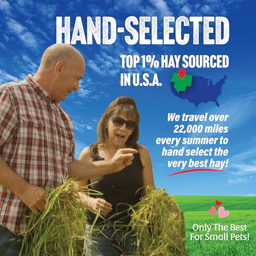 Small Pet Select Orchard Grass Hay Pet Food for Rabbits, Guinea Pigs, Chinchillas and Other Small Animals, Premium Natural Hay Grown in the US, 10 LB | Premium Natural Grass Hay, Grown in USA, Soft High Fiber Forage, For Chinchillas, Bunnies, Hamsters & S