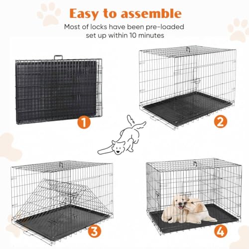 Dog Crate Kennel, 42 Inch Metal Pet Cage Double Door W/Divider Panel, Folding Travel Indoor Outdoor Dog Kennel Leak-Proof Plastic Tray Wire Animal Cage - size: 28.0"L x 28.0"W x 42.0"H
