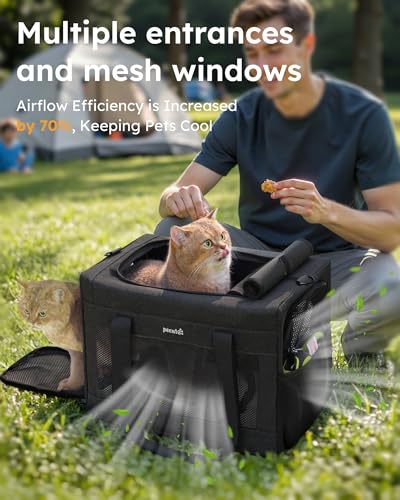 Pecute Cat Carrier, Portable Dog Carrier with Stable Structure, Dark Grey | Larger Space, 360° Ventilation & Comfort, Escape-Proof, for Travel / Car Trips / Vet Visits, Fits Cats up to 11 lbs - color: Dark Grey