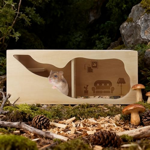 2Pcs Hamster House and Tunnel, Wooden Exploring Tunnel with Ladder, Small Animal Playground Exploring Toys for Syrian Dwarf Hamsters Gerbils Guinea Pig(Style1) - color: Style1
