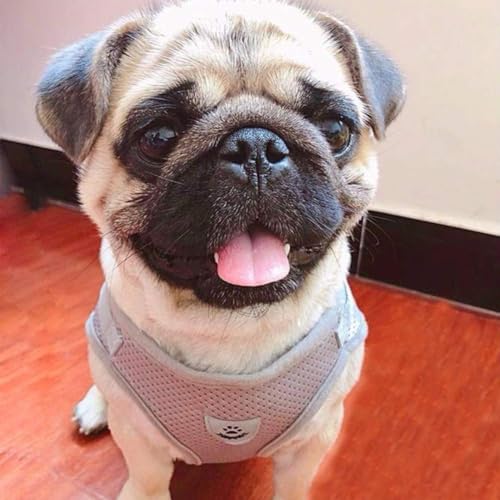 FEimaX Dog Harness and Leash Set for Walking, Soft Mesh Adjustable Easy Control Lightweight Cat Vest Harnesses with Reflective Strips, Escape Proof Small Dogs Cats Vests (Grey, X-Small) - color: Grey, size: X-Small