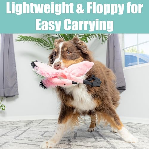 SPOT Skinneeez Flamingo 19 Inch Stuffing-Free Plush Dog Toy with Dual Squeakers – Long Interactive Chew Toy for Medium and Large Dogs – Mess-Free Play for Light & Moderate Chewers - style: Flamingo