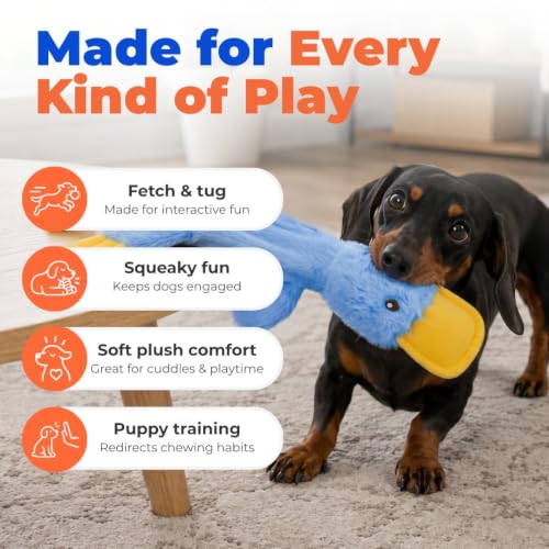 Best Pet Supplies Interactive Squeaky Dog Toy - Crinkle Duck, Blue | Stuffing Free Body, Soft, Squeaks & Crinkles, No Mess, Perfect for Moderate Chewers, Toss and Fetch Play - color: Crinkle Duck (Blue), size: Large