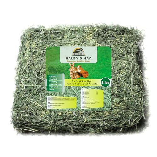 Halby's Hay Premium Alfalfa Hay – 8 lb Bag – Soft Leafy Sun-Cured Hand-Packed Feed for Rabbits, Guinea Pigs, Chinchillas, Tortoises & Small Pets – High Protein, Family-Farmed, California Grown