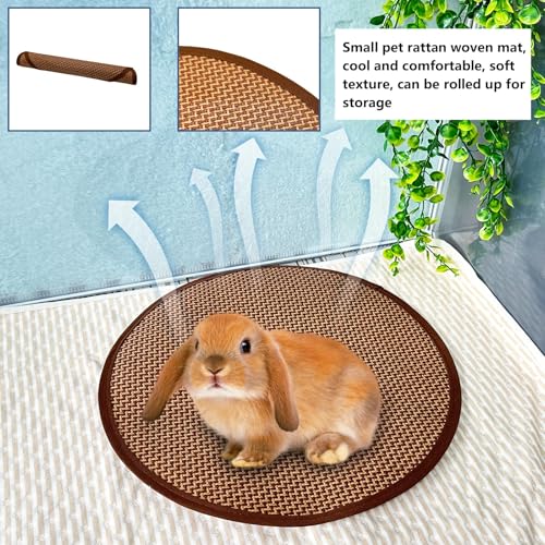 Hamiledyi 3PCS Rabbit Bed Mat 15.7x14 Inch Bunny Bed Soft Snuggle Pad Pillow Machine Washable Joint Support Guinea Pig Squirrel Hedgehog Ferret Kitten (Pink)
