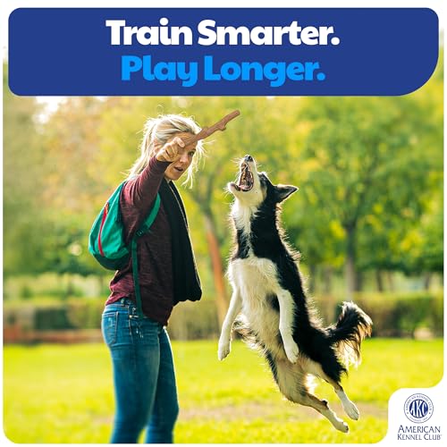 American Kennel Club Training Dog Chew Toy, TPR Wood Stick Dog Toy, Durable Dog Toy for Moderate Chewers, Maplewood Scented for Long-Lasting Engagement, Supports Dental Health - size: Stick