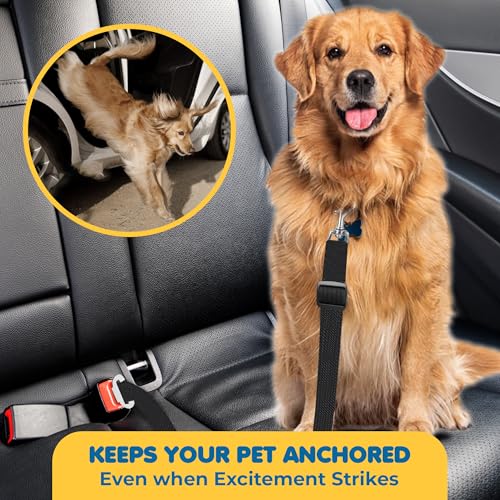 SunGrow Dog Seatbelt & Leash, Universal Vehicle Seatbelt Harness for Car Headrest, Pet Travel Essential, Adjustable Lead, Black Nylon, 19”-31” & 14-19” x 17-30”, 2 Pcs. Per Pack - color: Black Adjustable Seatbelt & Leash